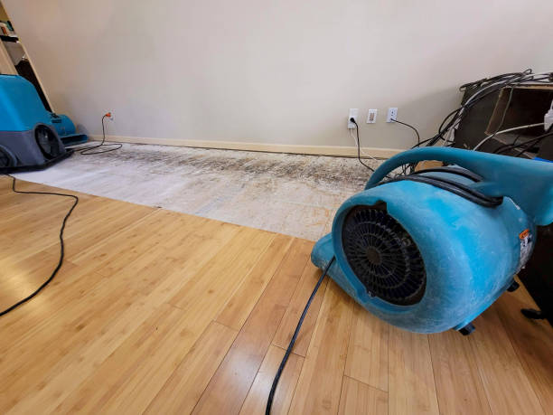 Professional Burst Pipe Water Damage technician working in Bond, CO